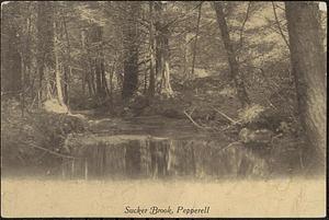 Sucker Brook, Pepperell