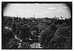 Black Forest and views from roof - Gertrude Sands