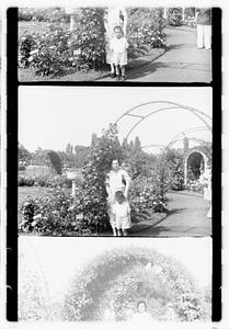 Unidentified boy and woman, rose garden, Boston