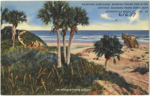 Palms and sand dunes, showing fishing pier in the distance, adjoining Ponte Verde, near Jacksonville Beach, Florida