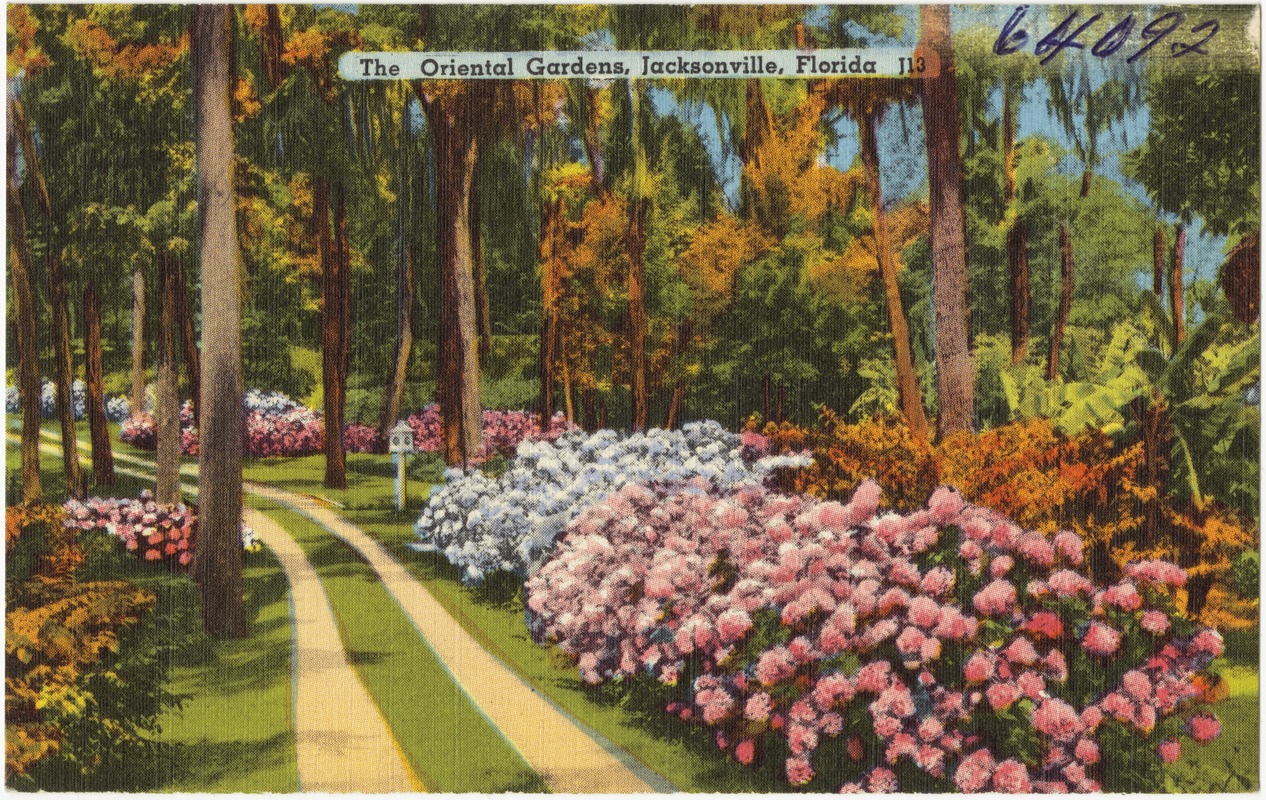 The oriental gardens, Jacksonville, Florida Digital Commonwealth