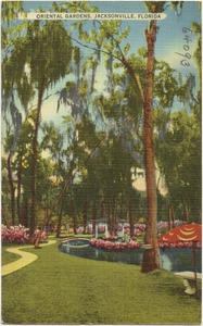 Oriental gardens, Jacksonville, Florida