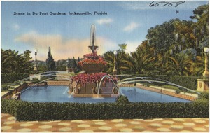 Scene in Du Pont gardens, Jacksonville, Florida