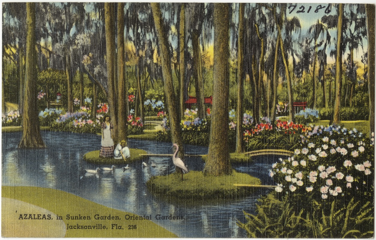 Azaleas in sunken garden, Oriental Gardens, Jacksonville, Fla.