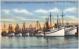Shrimp fleet at Mayport landing, near Jacksonville Beach, Florida
