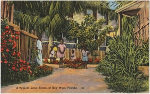 A typical lane scene, at Key West, Florida