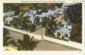 Birdseye view Cactus Terrace, Key West, Florida