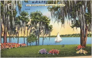 Lake Hollingsworth, Lakeland, Florida