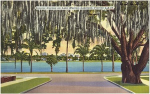 Success Avenue on Lake Morton, Lakeland, Florida