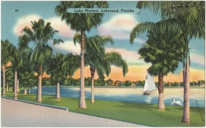 Lake Morton, Lakeland, Florida