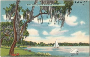 Lake Hollingsworth, Lakeland, Florida