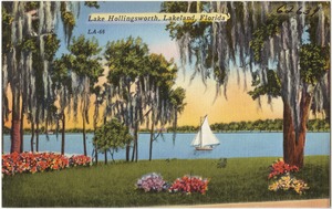 Lake Hollingsworth, Lakeland, Florida
