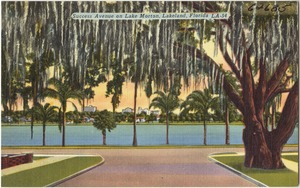 Success Avenue on Lake Morton, Lakeland, Florida
