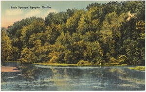 Rock springs, Apopka, Florida