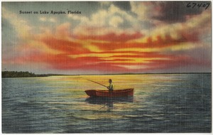 Sunset on Lake Apopka, Florida