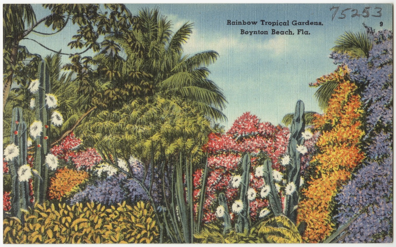 Rainbow Tropical Gardens, Boynton Beach, Fla.