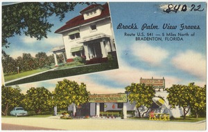 Brock's Palm View Groves- Route U. S. 541- 5 miles north of Bradenton, Florida