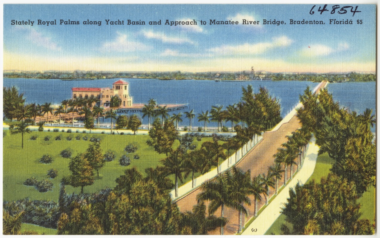 Stately royal palms along yacht basin and approach to Manatee River Bridge, Bradenton, Florida