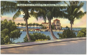 Tropical scene of memorial pier, Bradenton, Florida