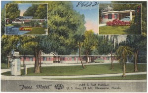 Trees Motels, 1569 S. Fort Harrison, U.S. Hwy. 19 Alt., Clearwater, Florida