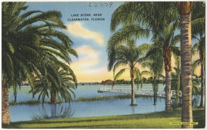 Lake scene near Clearwater, Florida