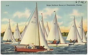 Snipe sailboat races at Clearwater, Florida