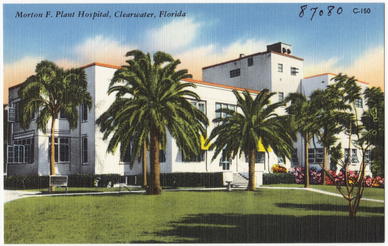 Morton. F. Plant Hospital, Clearwater, Florida