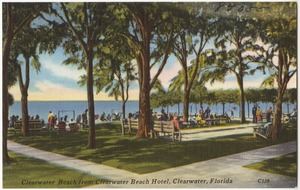 Clearwater Beach from Clearwater Beach Hotel, Clearwater, Florida