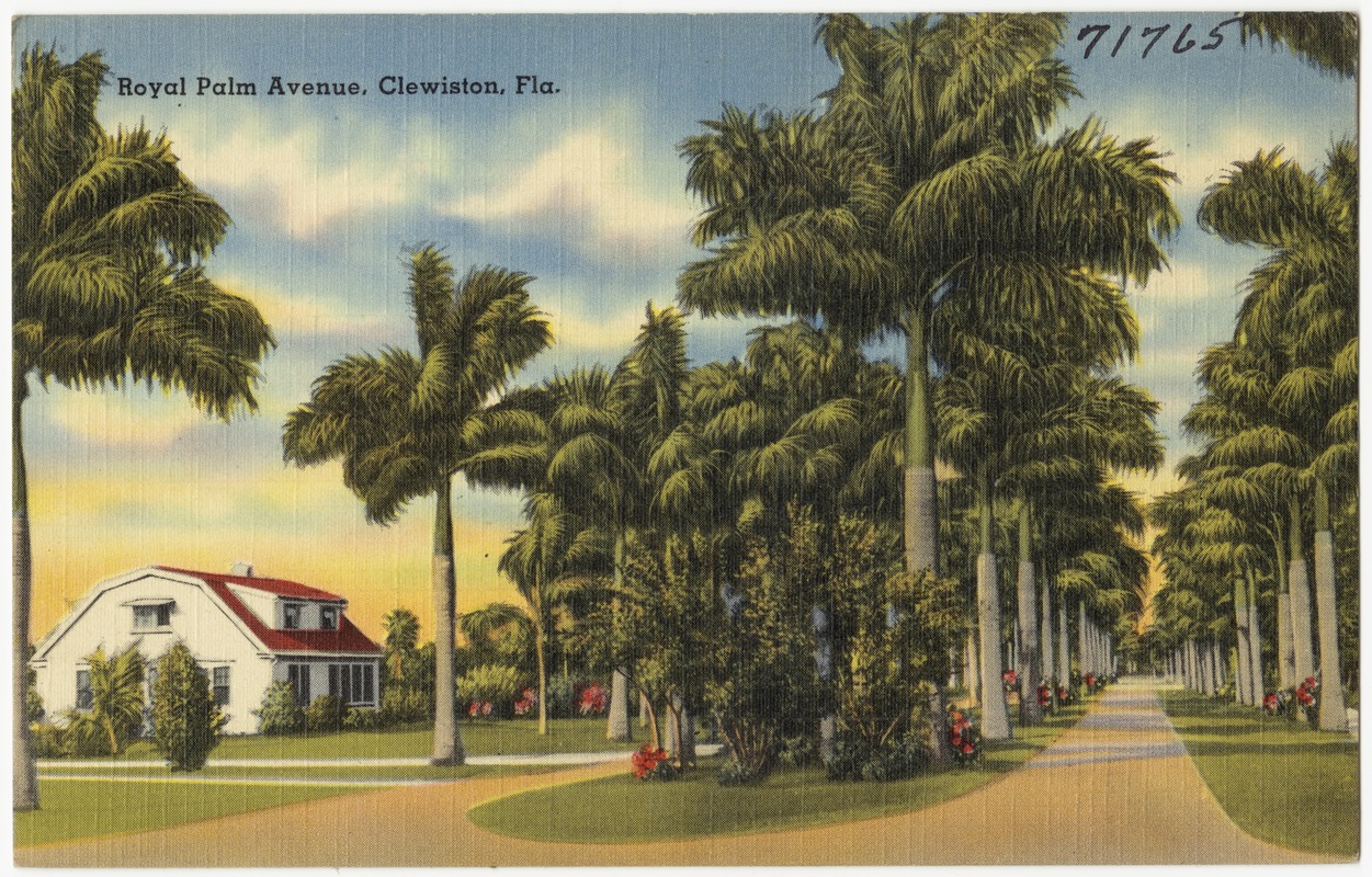 Royal Palm Avenue, Clewiston, Fla.