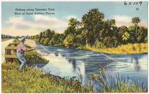 Fishing along Tamiami Trail, west of Coral Gables, Florida