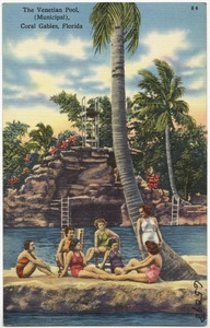 The venetian pool,