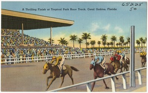 A thrilling finish at Tropical Park Race Track, Coral Gables, Florida