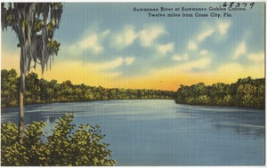 Suwannee River at Suwannee Gable Cabins, twelve miles from Cross City, Fla.