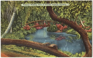 Famous wishing tree at Florida Cypress Gardens