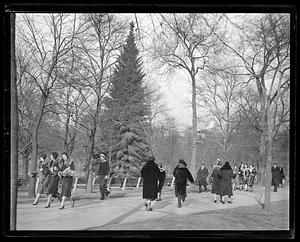 People walking down a path in a park