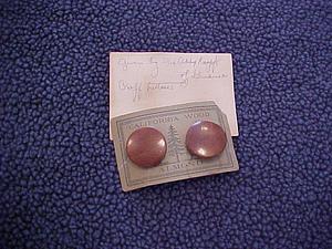 Two almond wood buttons