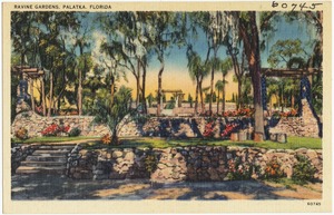 Ravine Gardens, Palatka, Florida