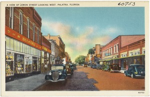 A view of Lemon Street looking west, Palatka, Florida