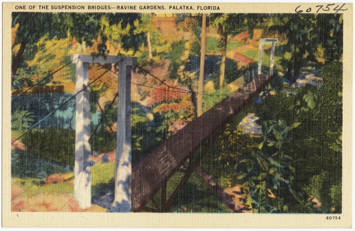 One of suspension bridges- Ravine Gardens, Palatka, Florida