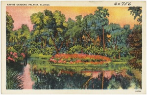 Ravine Gardens, Palatka, Florida