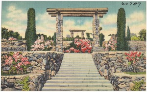 Ravine Gardens, Palatka, Florida