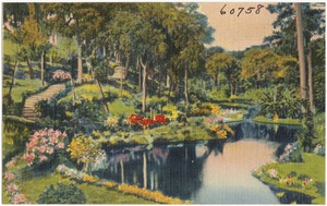 Ravine Gardens, Palatka, Florida