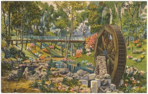 Ravine Gardens, Palatka, Florida