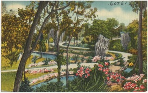 Ravine Gardens, Palatka, Florida