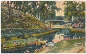 Ravine Gardens, Palatka, Florida