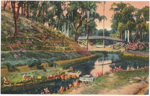 Ravine Gardens, Palatka, Florida