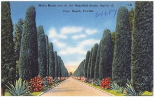 Wells Road, one of the beautiful scenic sights of Palm Beach, Florida