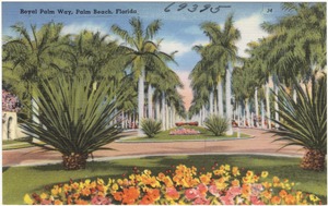 Royal Palm Way, Palm Beach, Florida