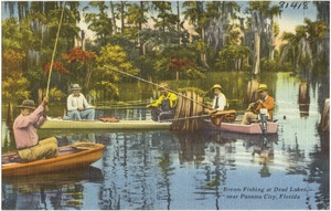 Bream fishing at Dead Lakes- near Panama City, Florida