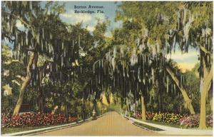 Barton Avenue, Rockledge, Florida